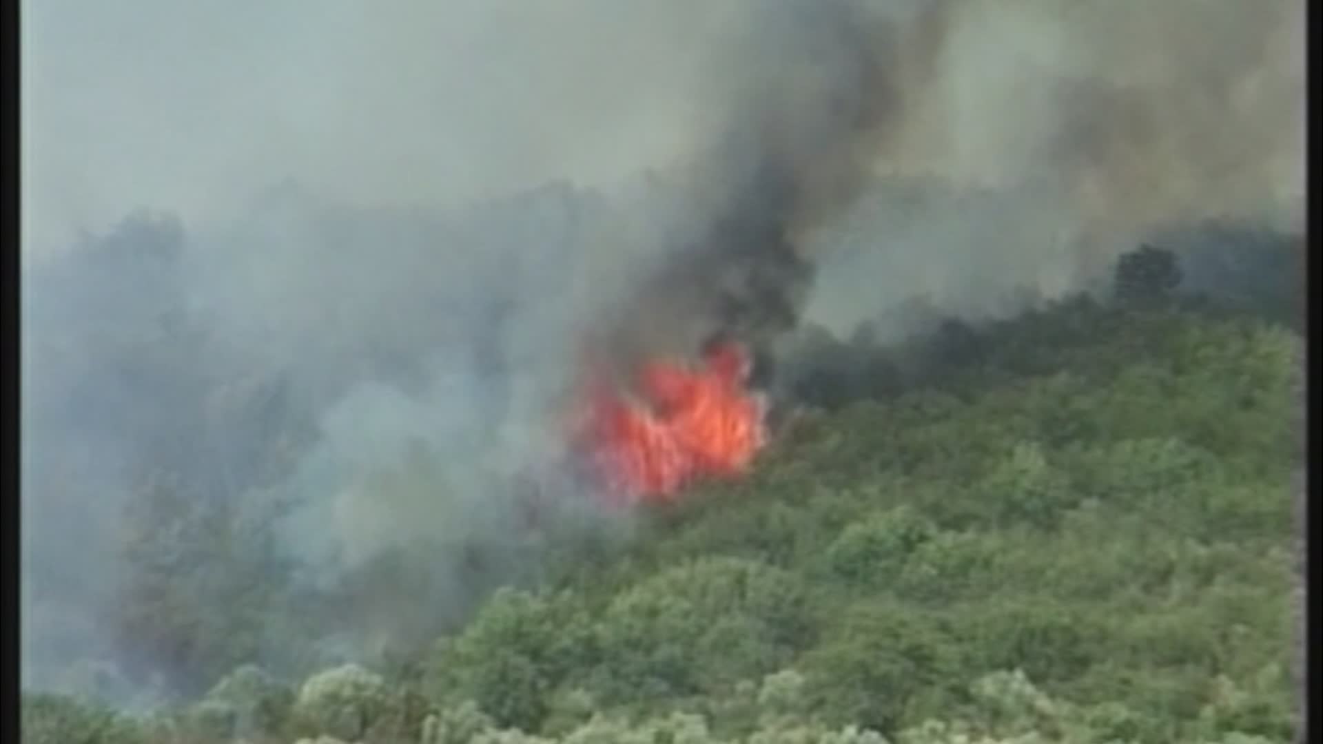 Carabinieri Forestali: 75 incendi nei boschi nel 2021