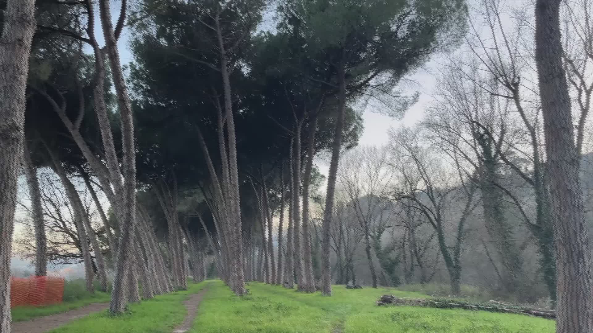 Youtumbria: la Pineta di Ponte Felcino ancora interdetta da ottobre