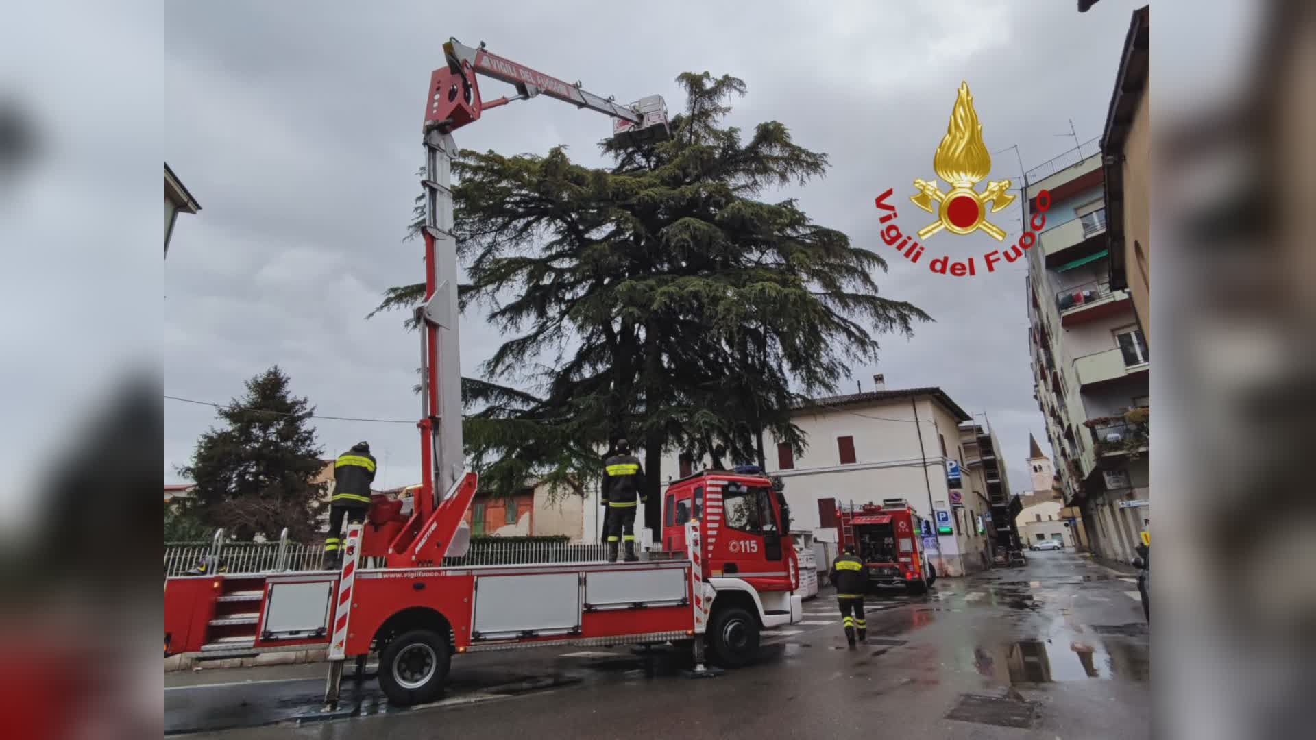 Paura per ramo pericolante, intervento dei vigili del fuoco