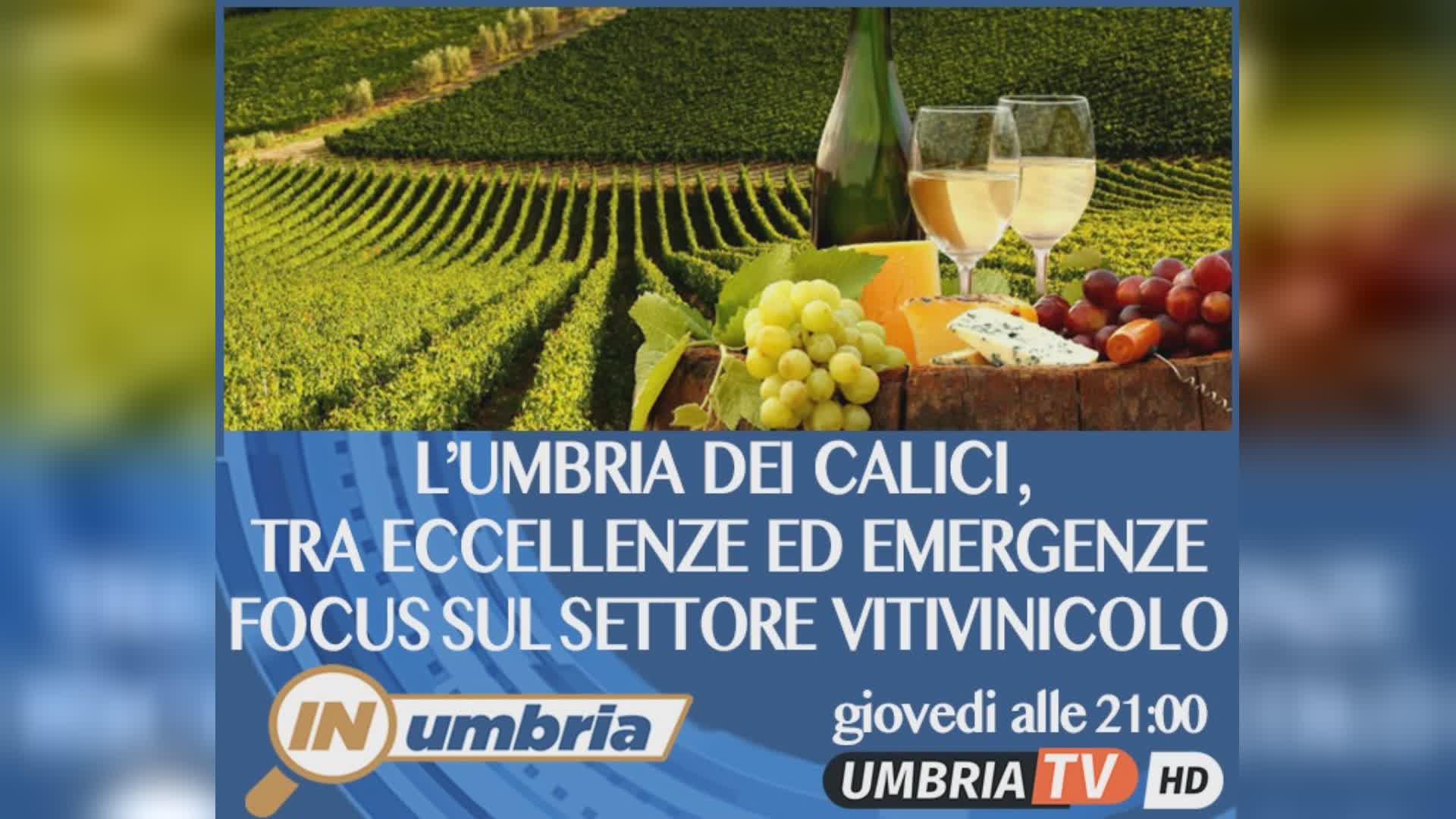 L’Umbria del vino guarda al futuro: stasera a "In Umbria"