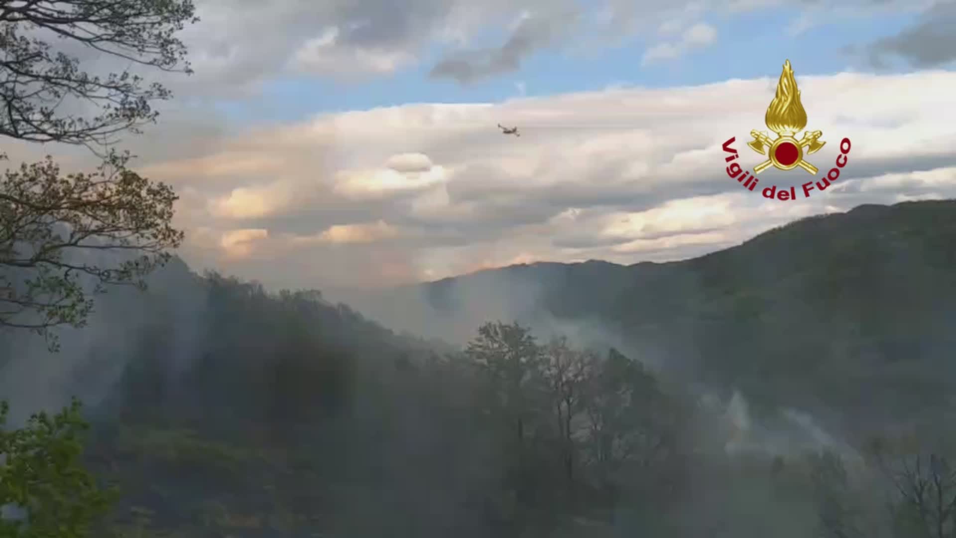 A fuoco 30 ettari di bosco in località Morleschio