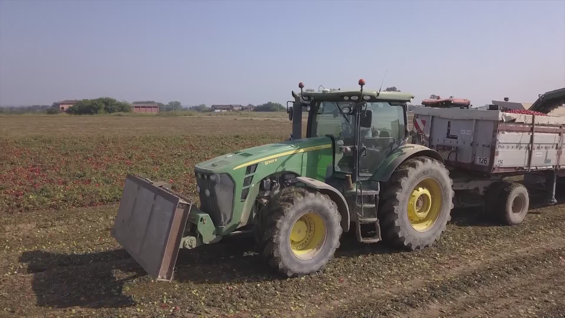 Un bando per sostenere l’ammodernamento delle imprese agricole