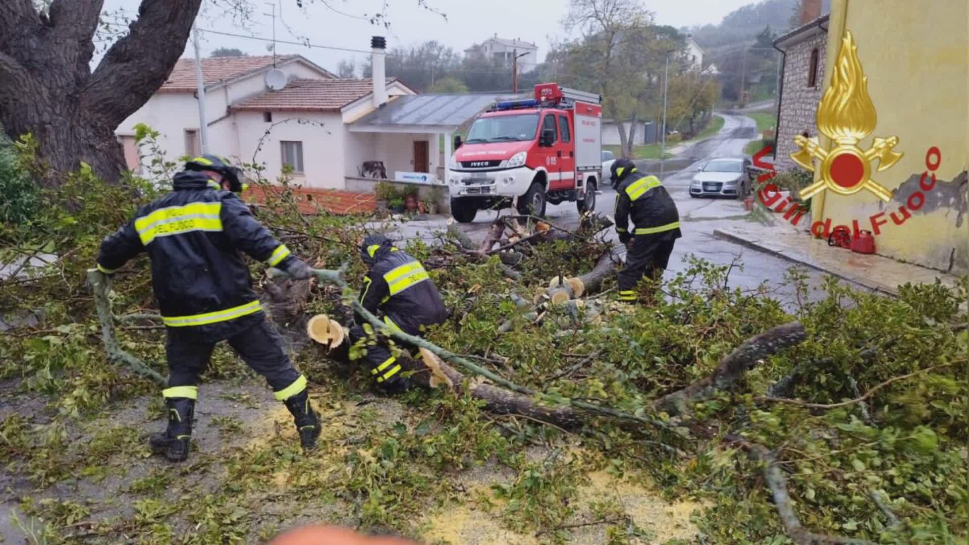 Alberi caduti e disagi per forte vento, numerosi interventi VV.FF