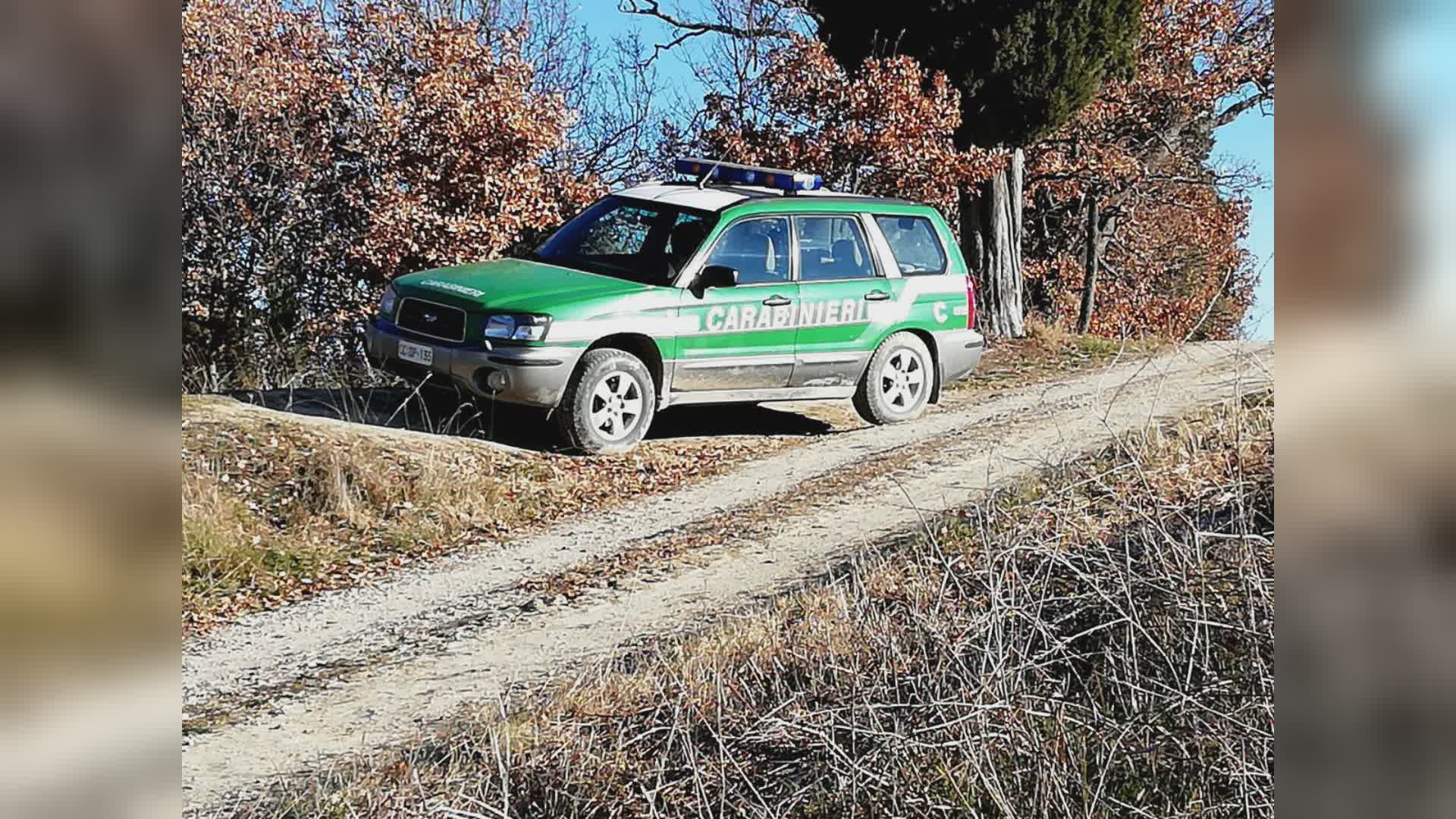 Assente per malattia ma andava a caccia. Consigliere denunciato