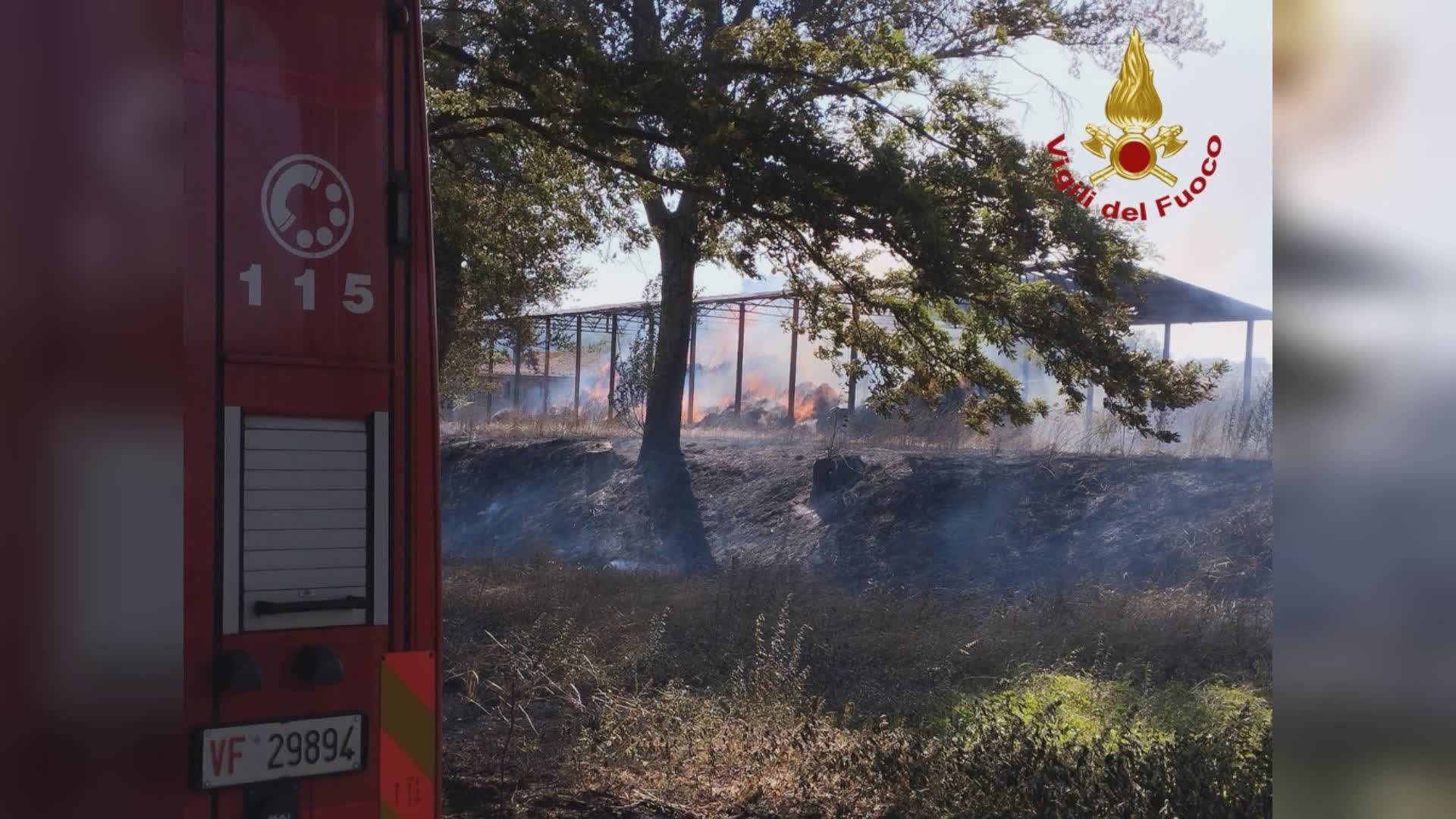 Vigili in azione per vasto incendio in un campo grano