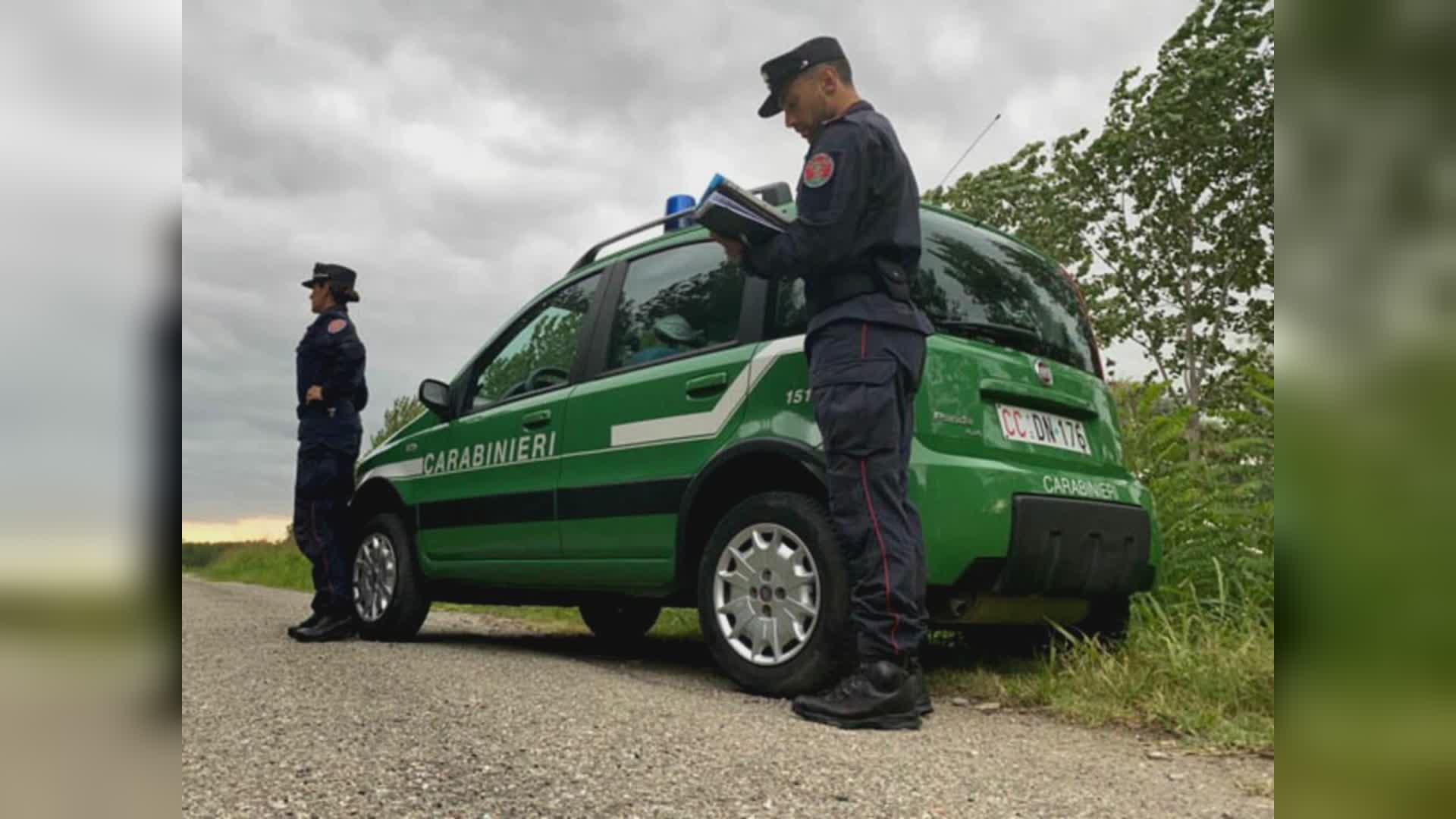 Ristorante con strutture ritenute abusive nel mirino della Forestale