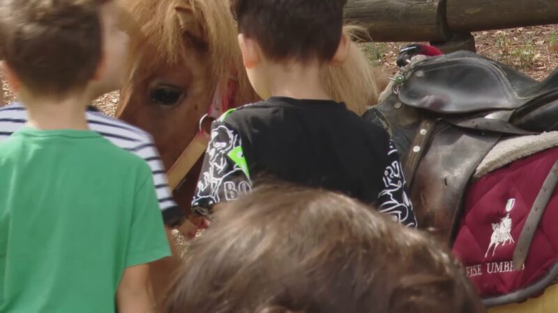 Un Pony per ricominciare a sorridere: nuova terapia al “Chianelli”