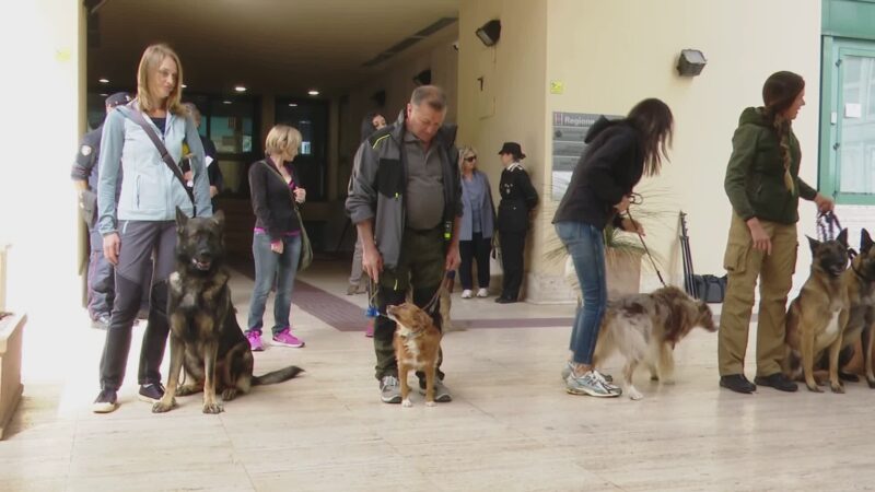 Arrivano i cani “supereroi” che fiutano bocconi avvelenati