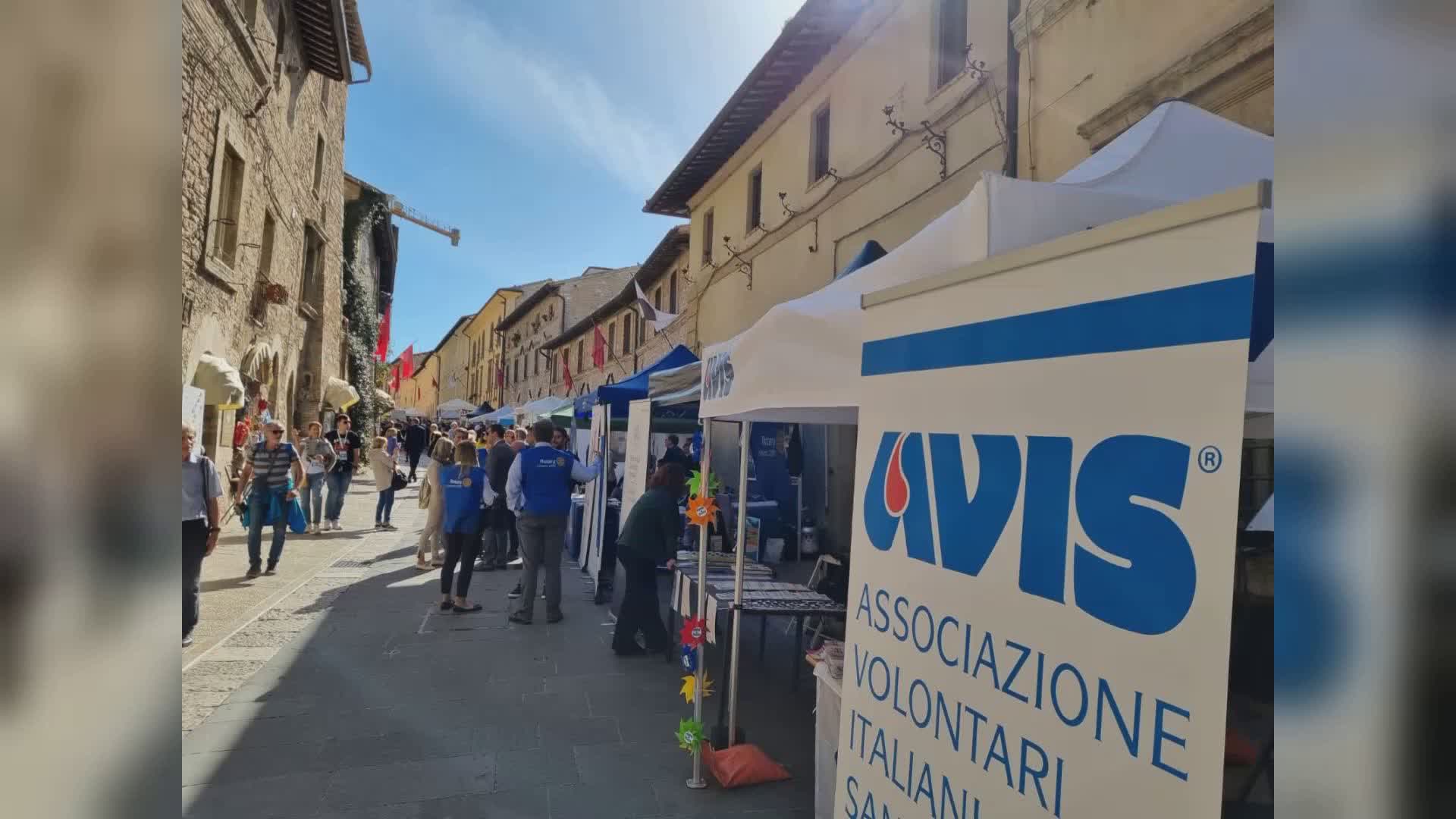 G7 disabilità, presente anche Avis alla giornata inaugurale