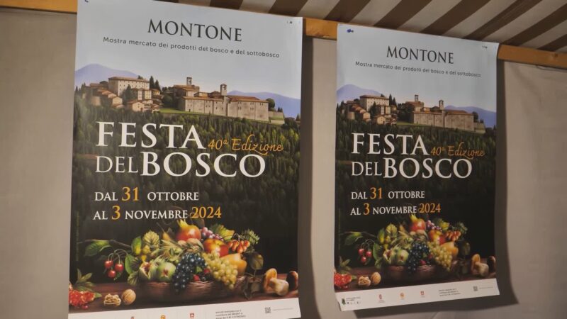 Al via la 40esima edizione della Festa del bosco