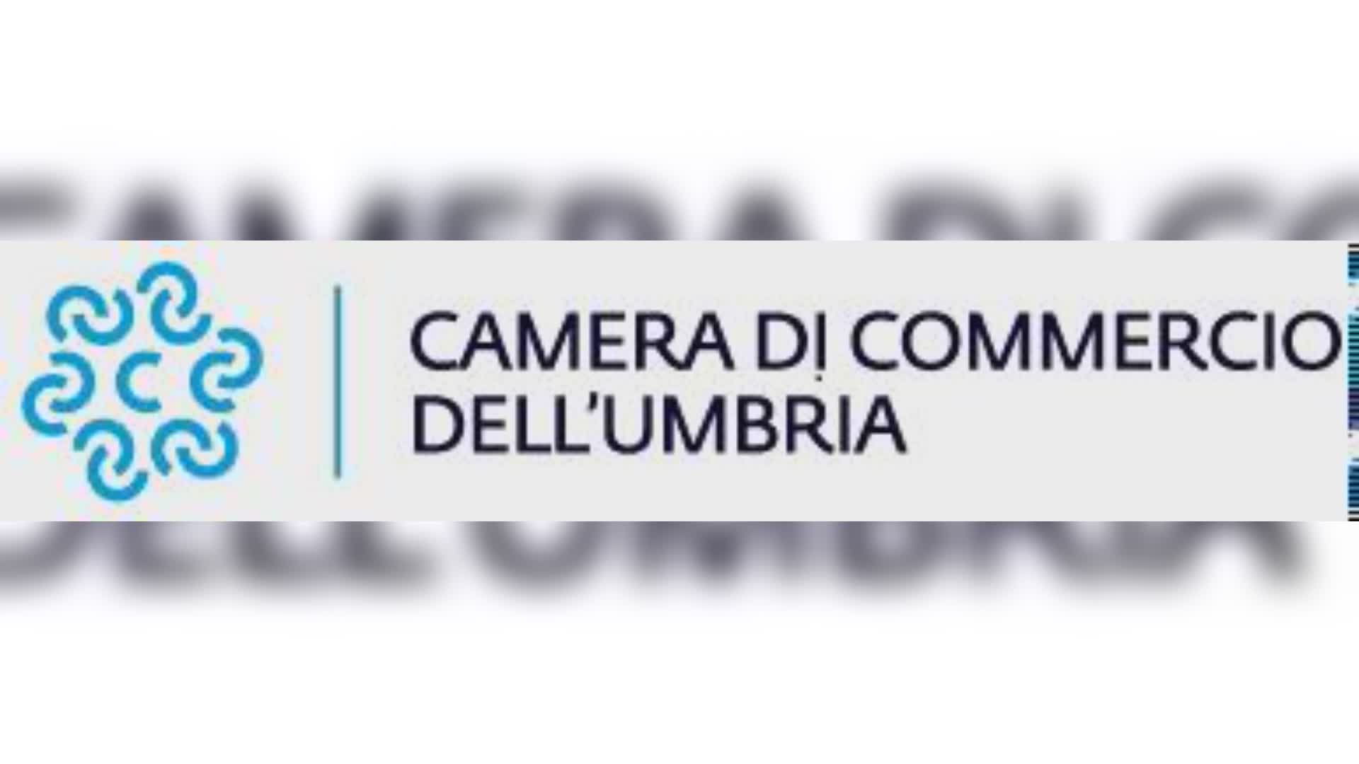 Camera di commercio promuove e valorizza economia territorio