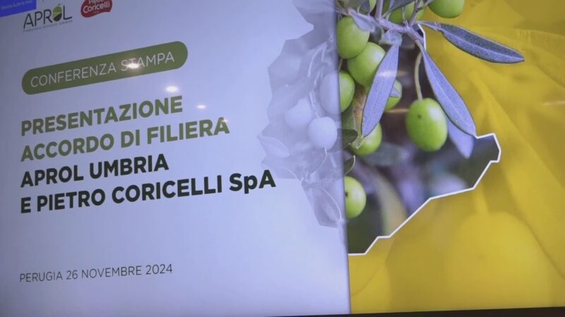 Accordo di Filiera tra Aprol e Coricelli per promuovere l’Olio Dop