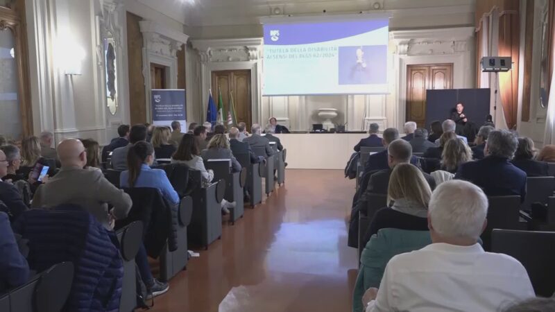 Inps: “Tutela della Disabilità”, nuove norme