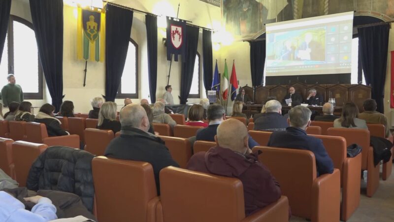 “Dialogo e cooperazione per la pace nelle diversità”: la conferenza