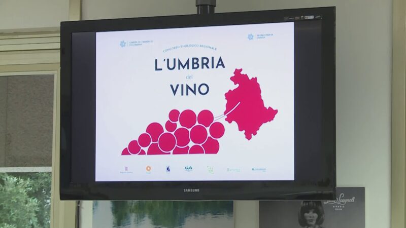 Al via degustazione concorso enologico l’’Umbria del vino’