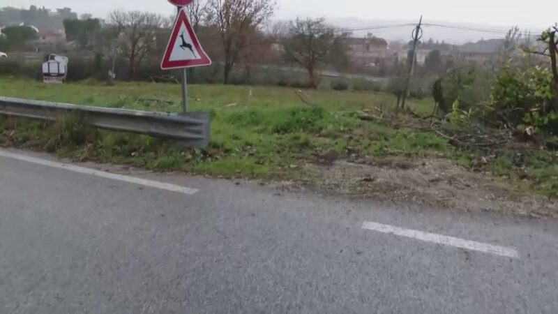 Camion fuori strada, morto il conducente. Ipotesi malore