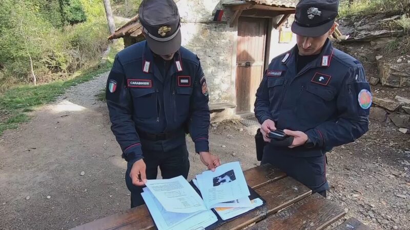 Carabinieri Forestali, il bilancio del 2024