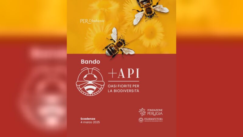 Bando +API“Oasi fiorite per la biodiversità”