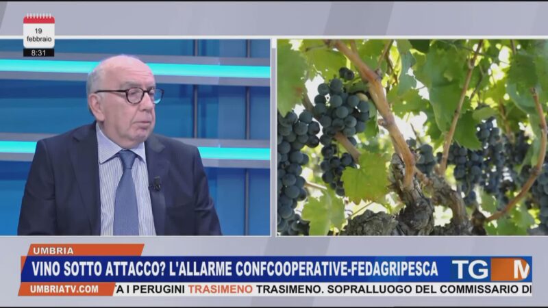 Vino sotto attacco? L’allarme di Confcooperative-Fedagripesca Umbria