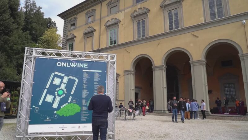 Torna Only Wine oltre 100 vignaioli a Palazzo Vitelli