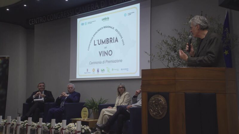 La Camera di Commercio premia le eccellenze vinicole regionali