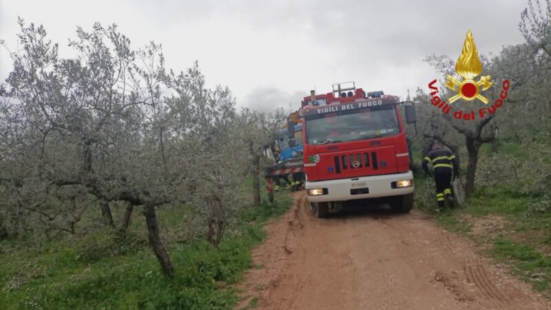 Tir finisce fuori strada, illeso conducente. Pompieri sul posto