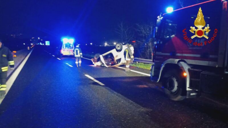 Cinghiale causa incidente sul raccordo Perugia-Bettolle